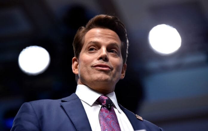 FTX e Anthony Scaramucci