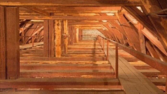 OWASP e segurança IA